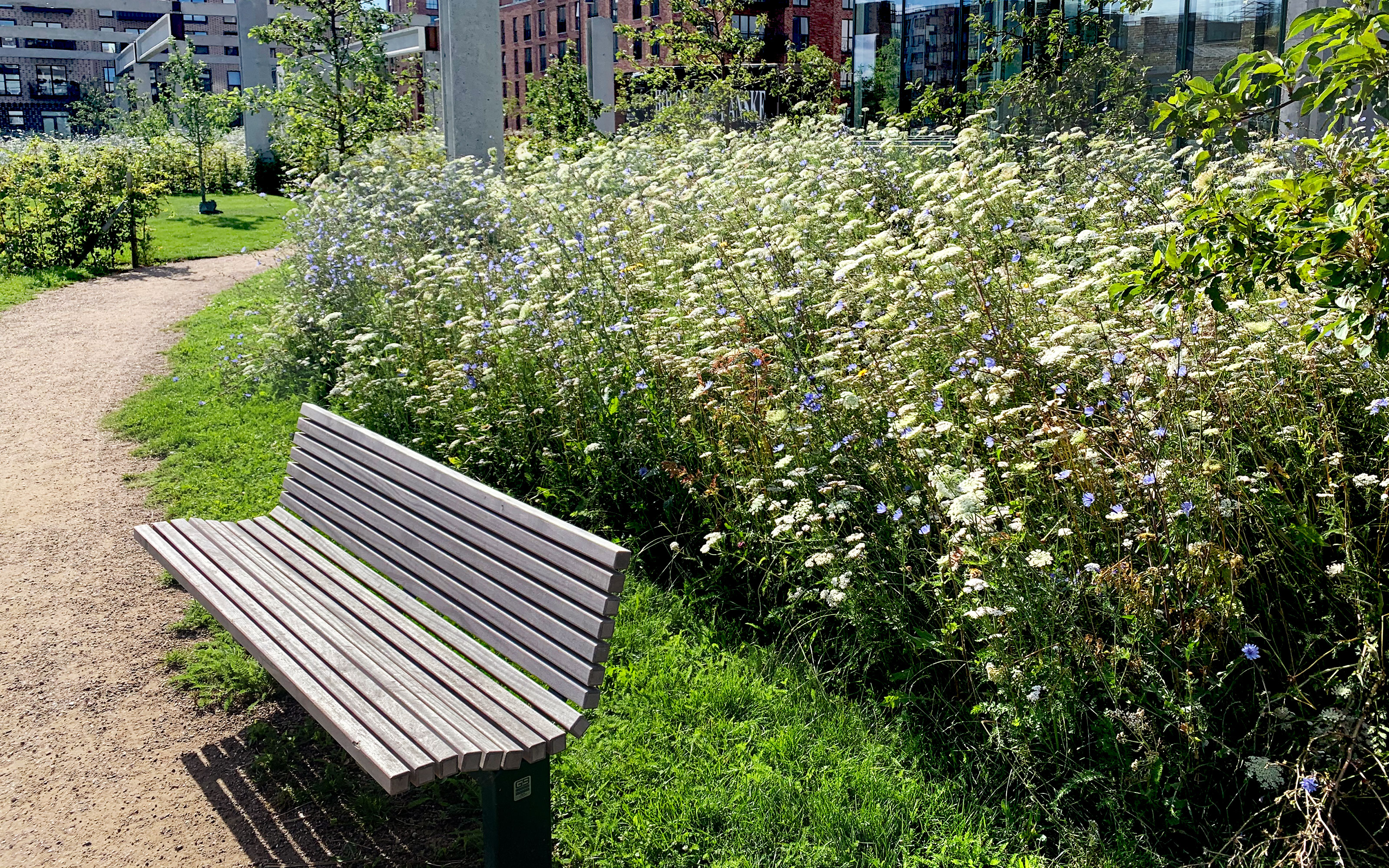 Seating areas invite visitors to rest and linger. A bench in front of a meadow